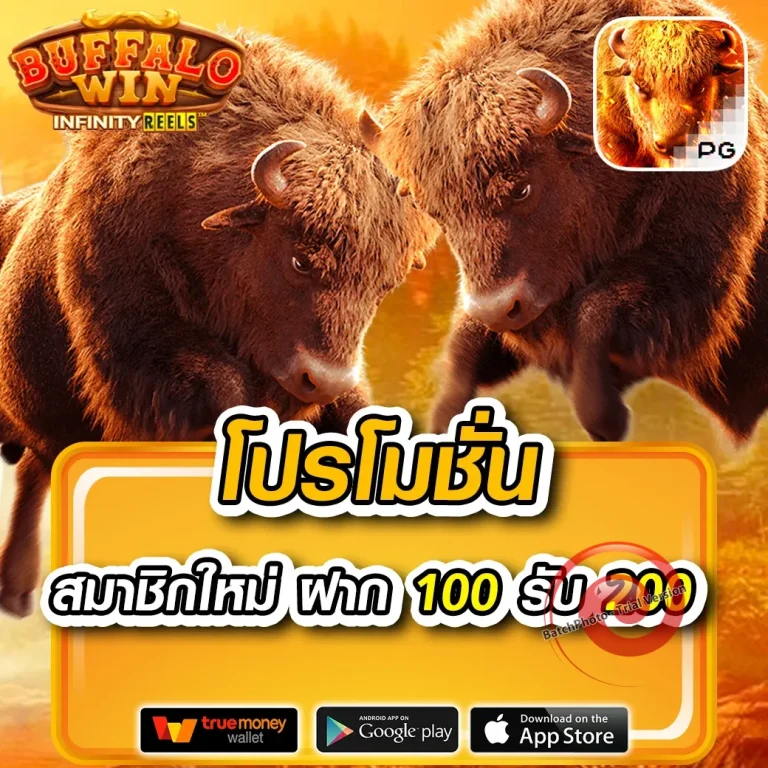 BM9 ทางเข้า